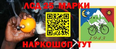 PSILOCYBIN Гатчина