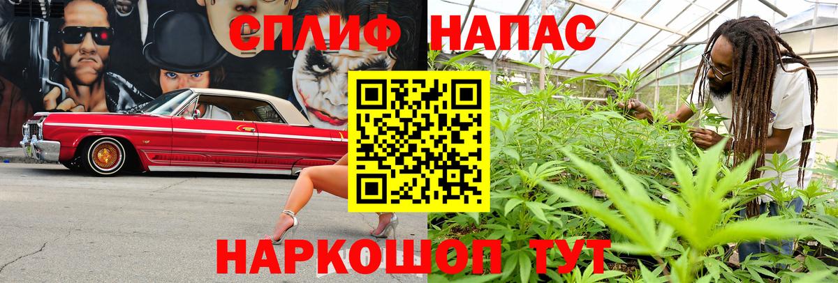 Марихуана конопля  Конопля гибрид  Бошки марихуана THC 21%  Тельмана  Вход с VPN 